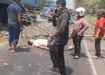 Tabrak Pohon Tumbang, Pengandara Sepedamotor Dilarikan ke RS