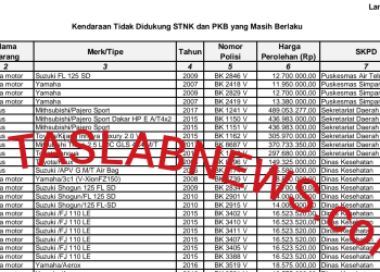 Hasil audit BPK