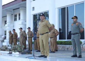 Wakil Bupati Asahan Pimpin Apel Gabungan Bulan Maret 2024