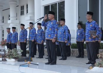 Upacara HKN, Bupati Asahan Beri Penali Asih ASN Pensiun