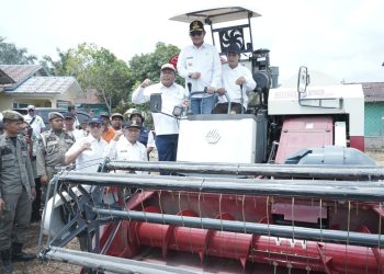 Gerakan Sumut Menanam, Bupati Asahan dan Pj Gubsu Tanam Cabai di Desa Serdang