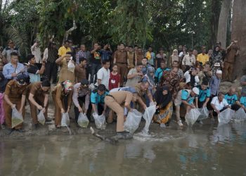 Wakil Bupati Asahan Tabur 20.000 Bibit Ikan di Teluk Dalam