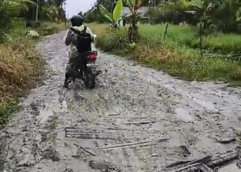 Kado Indah dari Bupati Surya Diakhir Jabatanya pada Warga di Sei Sembilang Asahan
