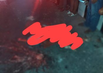 Pengendara Sepedamotor di Asahan Tewas Terlindas Truk