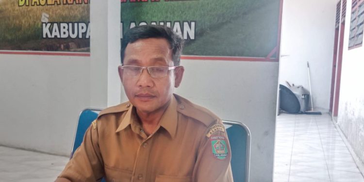 Pelaksana KTU UPTD Penagihan Pajak Daerah Kecamatan Meranti Hulman Panjitan,