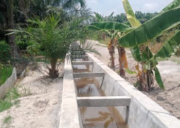 Pembangunan Drainase di Desa Meranti Diduga Asal Jadi