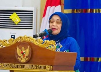 Plt Bupati Labuhanbatu Hj Ellya Rosa Siregar saat memberikan kata sambutan di acara tersebut.