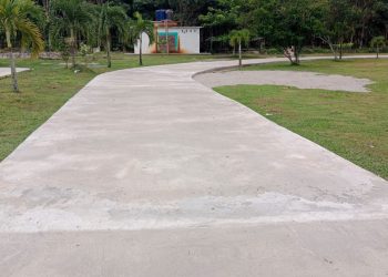 Banyak Retakan dan Genangan Air, Jalan Rabat Beton di Hutan Kota Diduga Tak Sesuai Mutu