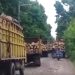 Mobil Truk Pengangkut Kayu Bikin Jalan Rusak, Diduga Pemerintah Tutup Mata