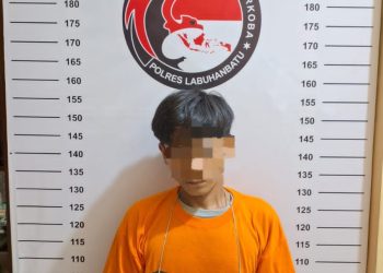 Polres Labuhanbatu Ringkus Pengedar Sabu di 3 Tempat