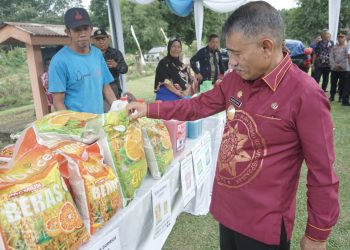 Pjs Bupati Asahan Kunker Di Kecamatan Buntu Pane, BP. Mandoge, Tinggi Raja dan Setia Janji