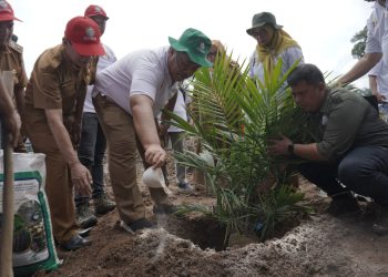 Bupati Asahan Berikan Hak Suara di TPS 3 Kelurahan Mekar Baru