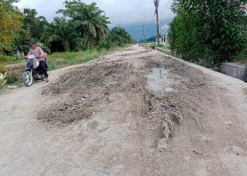 Warga Desa Panca Arga Tuntut Perbaikan Jalan