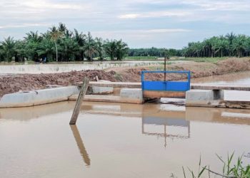 Diduga Salah Desain, Dam Bondar Bupati Di Bongkar