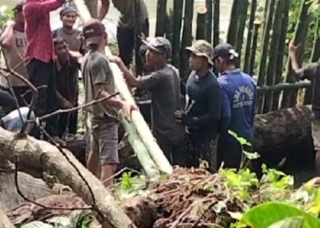 Waduh Tanggul Sungai di Padang Mahondang Asahan Jebol