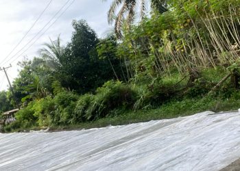 Aneh, Baru Dipasang Plank Proyek di Urung Pane Asahan Dilepas Lagi