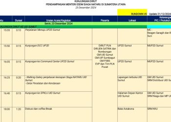 Ketum IWO Minta PLN Jangan Lakukan Pembohongan Publik Soal Pelesiran Dirut dan Keluarga ke Australia