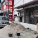 Warga Resah Akibat Tumpukan Pasir Tutupi Badan Jalan