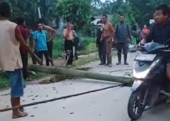Ibu dan Balitanya Tewas Tertimpa Tiang Listrik
