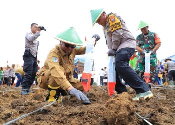 Sekda Labura Hadiri Penanaman Jagung Serentak 1 Juta Hektar
