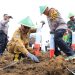 Sekda Labura Hadiri Penanaman Jagung Serentak 1 Juta Hektar