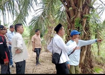 Warga Tuding PT PEU Serobot dan Rusak Tanaman Mereka