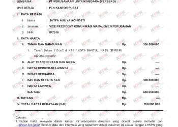 Wah, Gaji Sayfa Auliya Achidsti di PLN Sangat Besar,  Tapi LHKPN-nya Mencurigakan