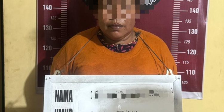 Ibu Ini Jual Sabu ke Polisi