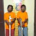 Curi Pagar Besi Sekolah di Asahan, Bro dan Maho Diringkus Polisi