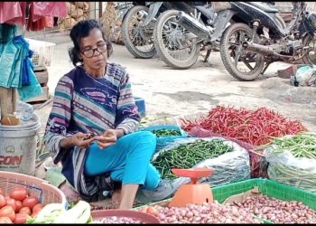 Musim Hujan, Harga Cabai dan Bawang Melambung