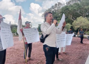 GBPU: Usut Dugaan Ilegal Logging di PT Bridgeston Aek Tarum