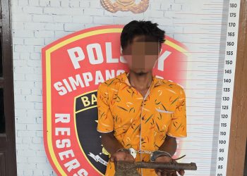 Kesal Istri Menolak Berhubungan Badan,  Suami Aniaya Mertuanya