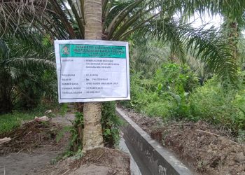 Proyek Drainase Siapa Ini di Desa Serdang Asahan Diduga Asal Jadi