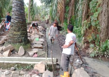 Kades Serdang Asahan: Proyek Drainase Tidak Ada Konsultasi ke Kami