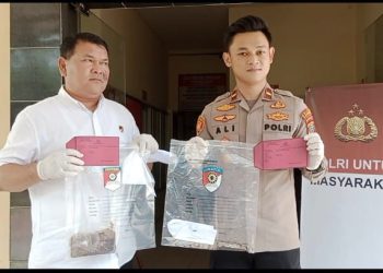 Ternyata Suami Bunuh Istri Baru Bunuh Diri