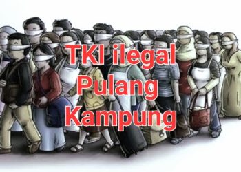 Jelang Lebaran, Arus Balik TKI Ilegal di Silo Laut Asahan Meningkat, Camat Minta Dukungan TNI/Polri