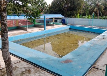 Waduh Kades Danau Sijabut Diduga Gunakan Dana Bumdes untuk Bangun Kolam Renang