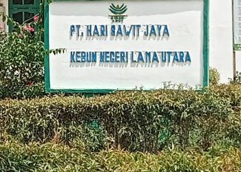 Kantor PT HSJ KNU Labuhanbatu