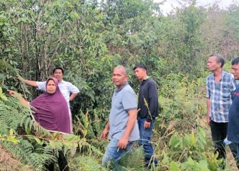 Gapoktan dan Pihak Terkait Pastikan Lahan PSR Tahun 2020 di Tanjung Siram Rampung Dikerjakan