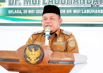 Wakil Bupati Labuhanbatu H Jamri, ST.