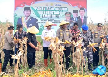 Via Daring, Wakil Wali Kota Tanjungbalai Panen Raya Nasional Jagung Serentak Kuartal II di Bengkayang