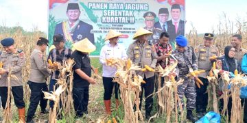 Via Daring, Wakil Wali Kota Tanjungbalai Panen Raya Nasional Jagung Serentak Kuartal II di Bengkayang