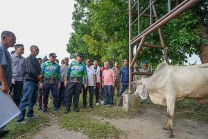 Jelang Idul Adha, Bupati Batubara Serahkan Hewan Qurban