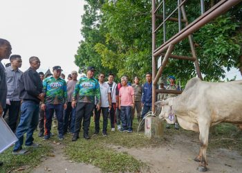 Jelang Idul Adha, Bupati Batubara Serahkan Hewan Qurban