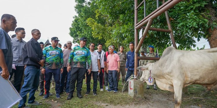Jelang Idul Adha, Bupati Batubara Serahkan Hewan Qurban
