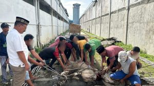 Lapas Labuhan Ruku Laksanakan Pemotongan Hewan Kurban