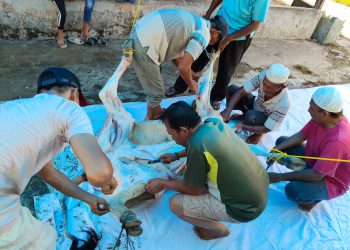 Ketua PW IWO Sumut: Nilai Berkurban dapat Diaplikasikan dalam Berorganisasi