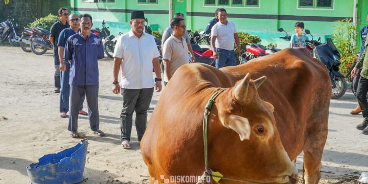 Bupati Batubara Serahkan Hewan Qurban dari Presiden RI