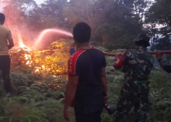 Tim Gabungan Terobos Hutan & Semak Belukar untuk Padamkan Api di Karhutla