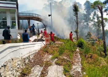 Gubsu Minta Hentikan Kebakaran Hutan di Danau Toba
